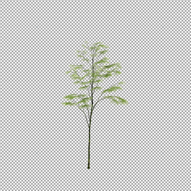 Beautiful plant in 3d rendering isolated