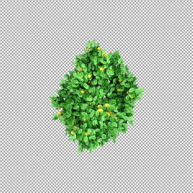 Beautiful plant in 3d rendering isolated