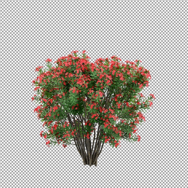 Beautiful plant in 3d rendering isolated