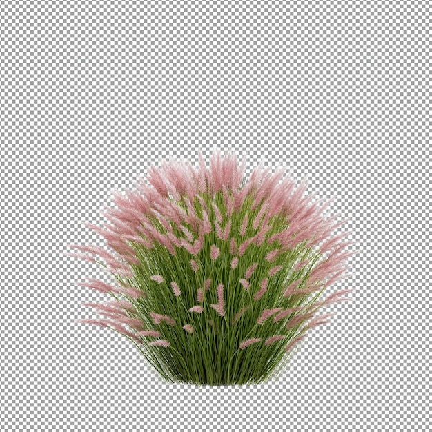 Beautiful plant in 3d rendering isolated