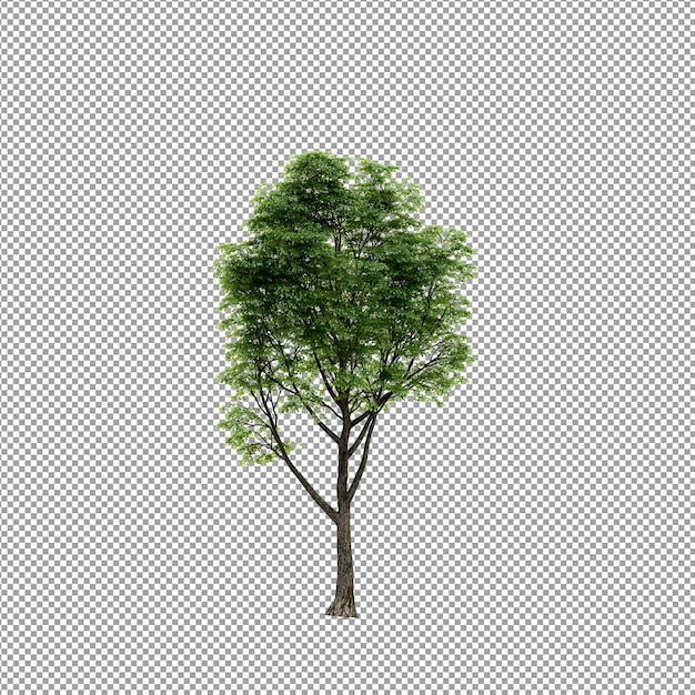 Beautiful plant in 3d rendering isolated