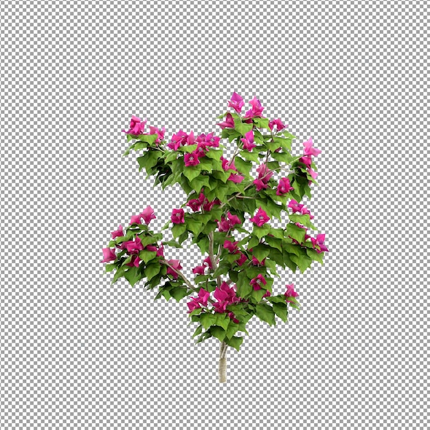 Beautiful plant in 3d rendering isolated