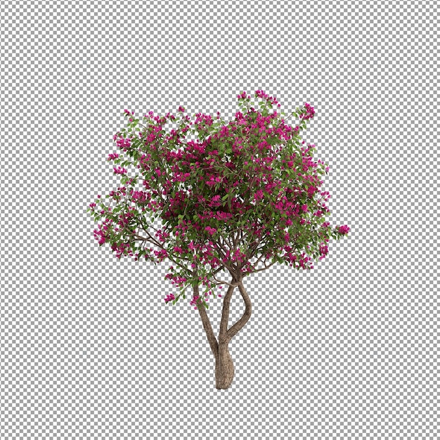 Beautiful plant in 3d rendering isolated