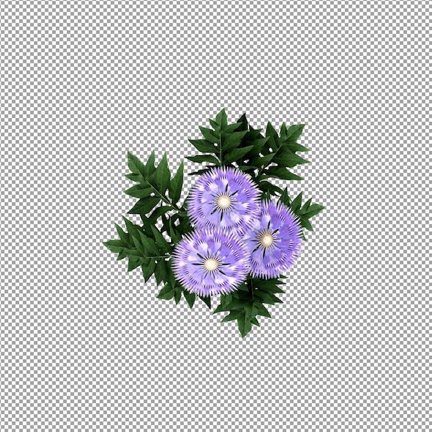 Beautiful plant in 3d rendering isolated