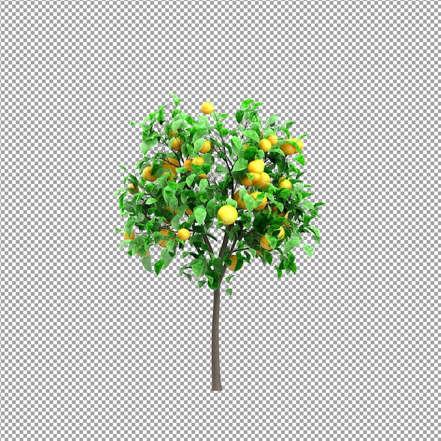 Beautiful plant in 3d rendering isolated