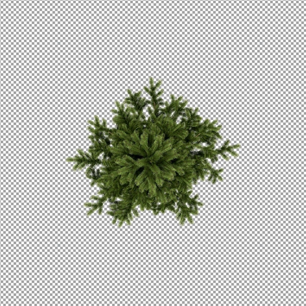 Beautiful plant in 3d rendering isolated