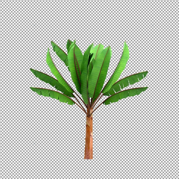 Beautiful plant in 3d rendering isolated