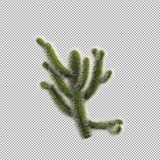 Beautiful plant in 3d rendering isolated