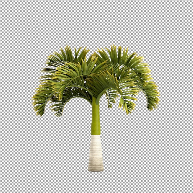 Beautiful plant in 3d rendering isolated