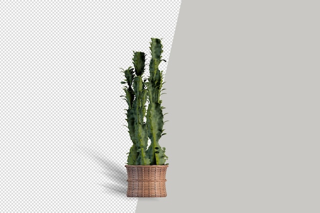 Beautiful plant 3d rendering isolated