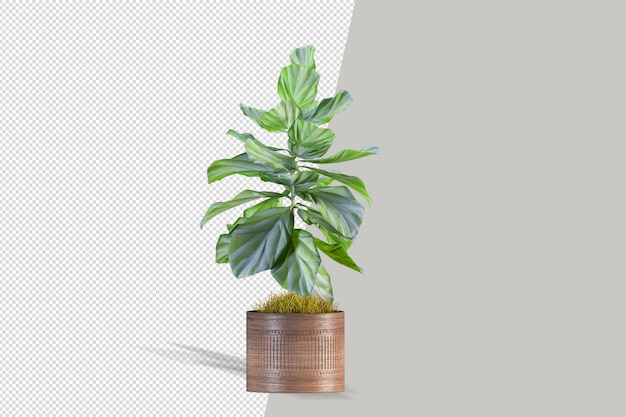 Beautiful plant 3d rendering isolated