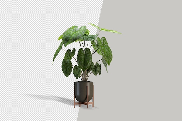 Beautiful plant 3d rendering isolated