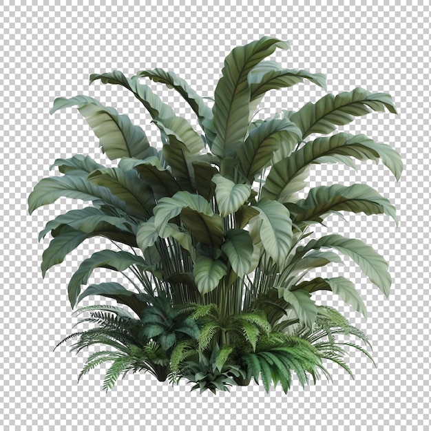 Beautiful plant Tree stump transparent background Ai generative