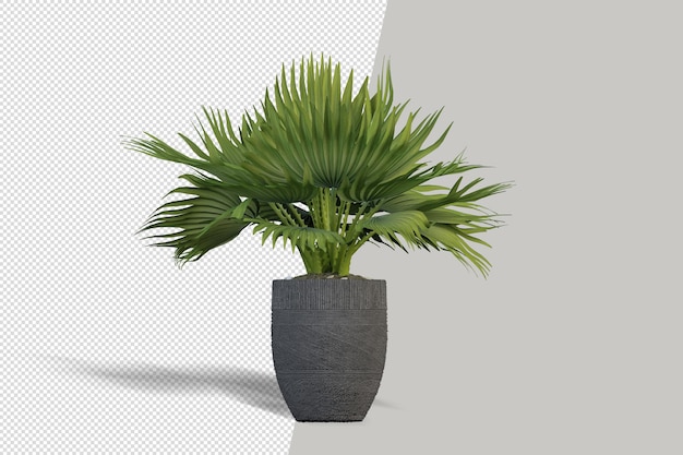 Beautiful plant in vase 3d rendering