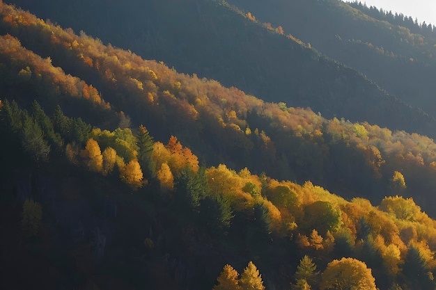 Beautiful scenery of mountains and forest in autumn