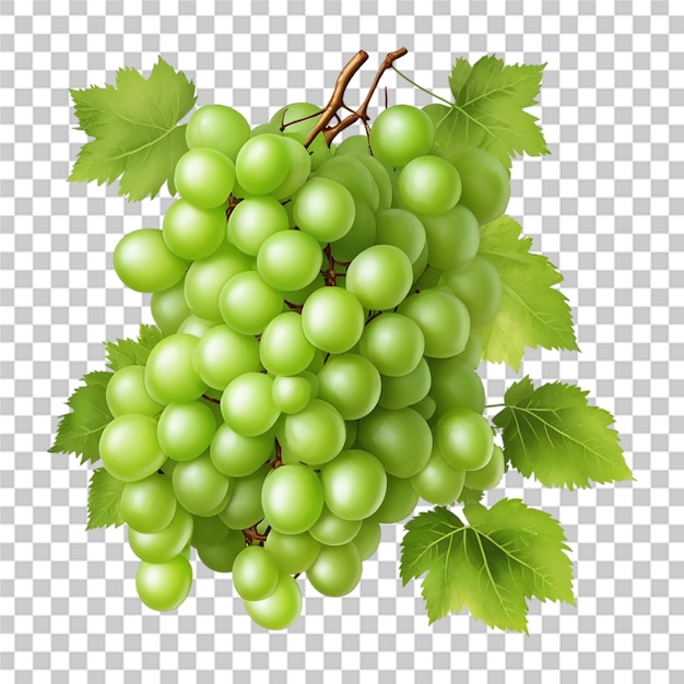 Beautiful set of grapes transparent background