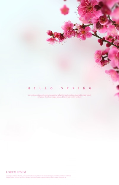 Beautiful spring flowers background