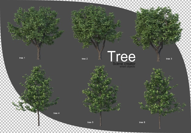 Beautiful variety of trees rendering