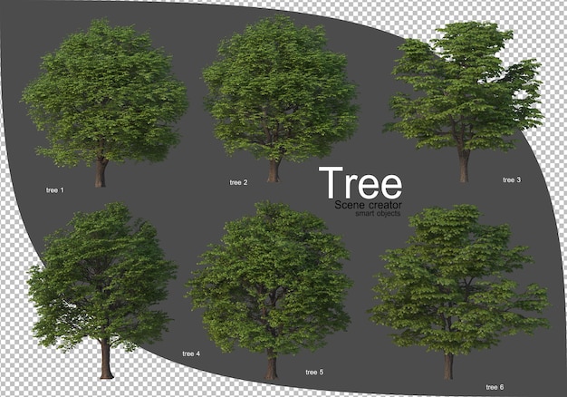 Beautiful variety of trees rendering