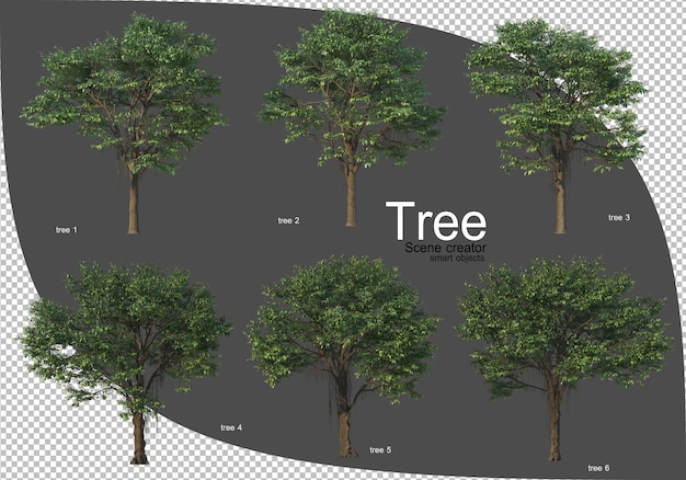 Beautiful variety of trees rendering