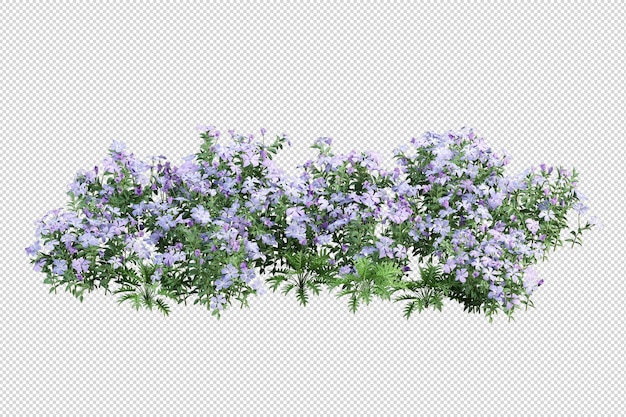 Beautiful various kinds of flowers in 3d rendering isolated