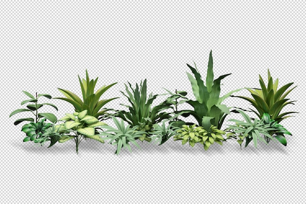 Beautiful various kinds of flowers in 3d rendering isolated