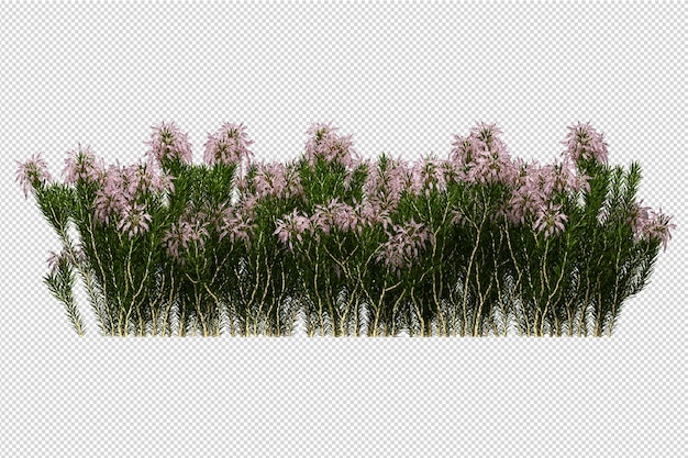 Beautiful various kinds of flowers in 3d rendering isolated