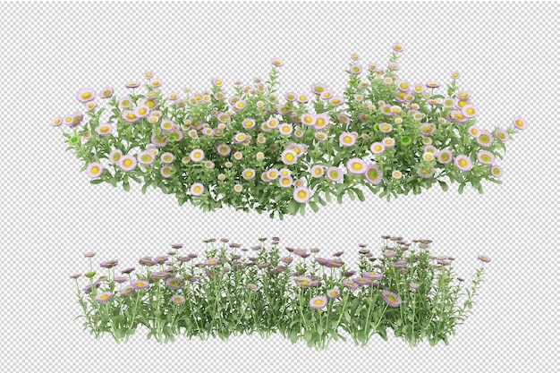 Beautiful various kinds of flowers in 3d rendering isolated