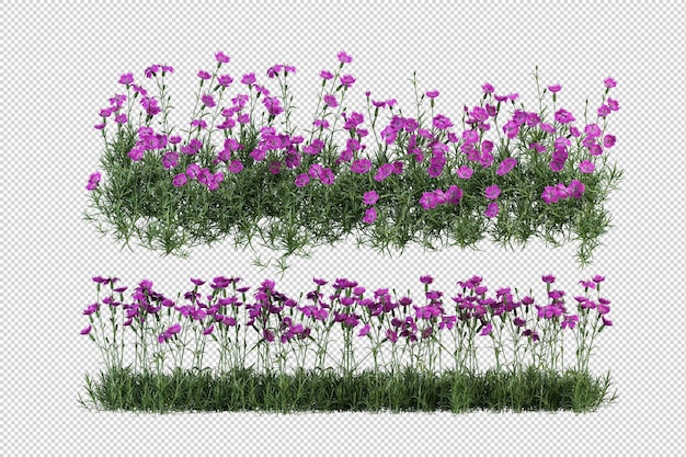 Beautiful various kinds of flowers in 3d rendering isolated