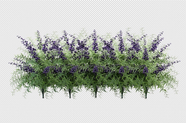 Beautiful various kinds of flowers in 3d rendering