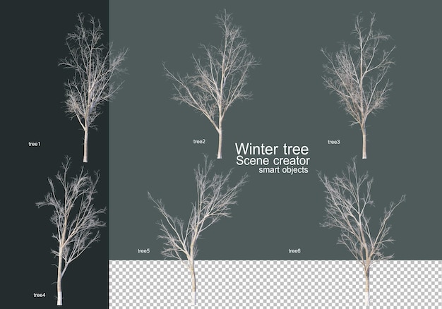 PSD beautiful various winter trees isolated