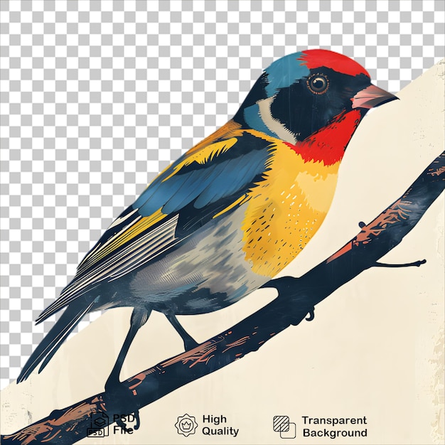 PSD beautiful watercolor bird on transparent background