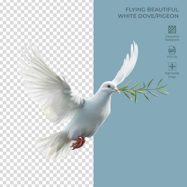 PSD beautiful white pigeon holding stem realistic isolated on transparent background