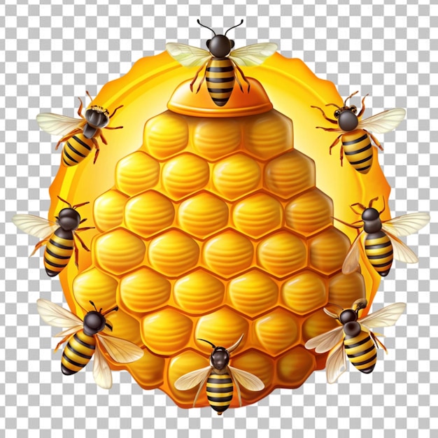 PSD bee hive concept illustration