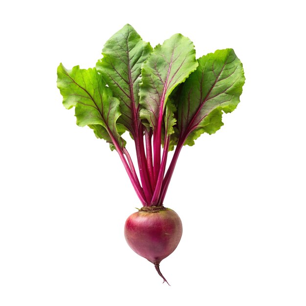 a beet with a red leaf on it is shown