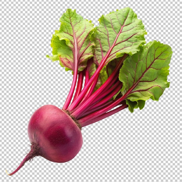 a beet