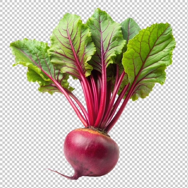 a beet