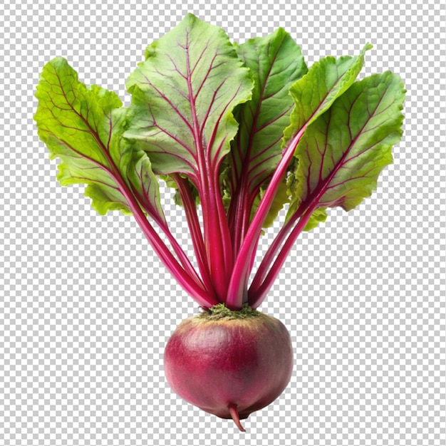 a beet