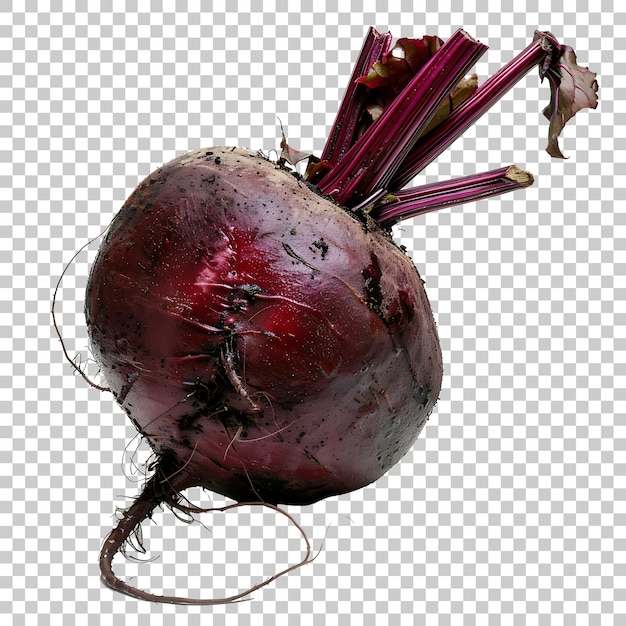 Beetroot Vegetable Isolated PNG with Transparent Background