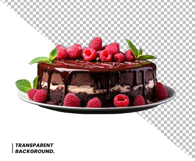 Berry Choco Cake Transparent Background