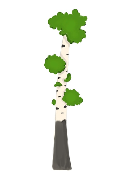 The birch tree element isolated illustration