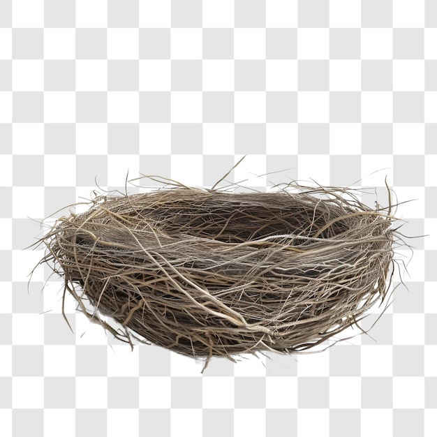 PSD bird nest on white background render ultra realistic