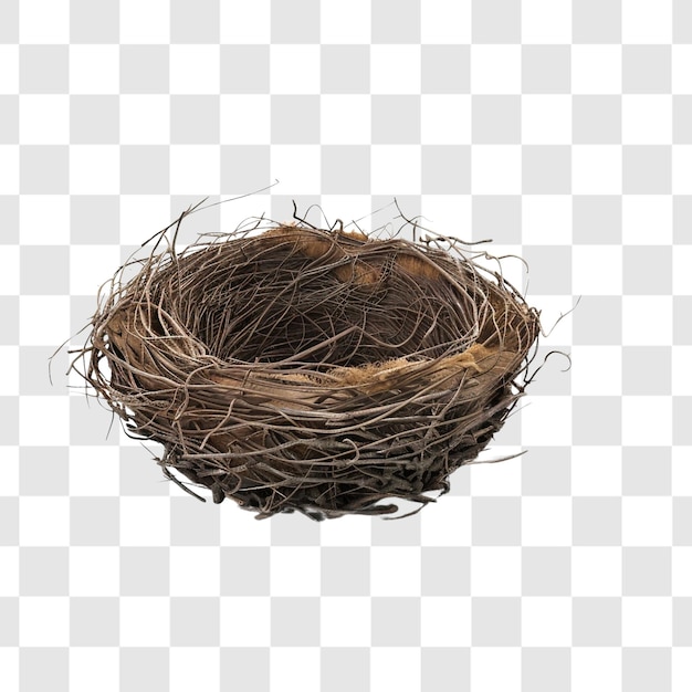 PSD bird nest on white background render ultra realistic