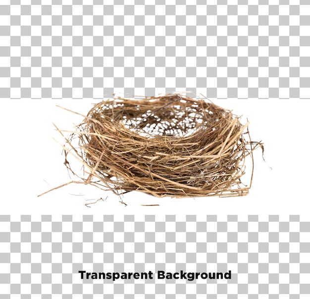 PSD bird nest