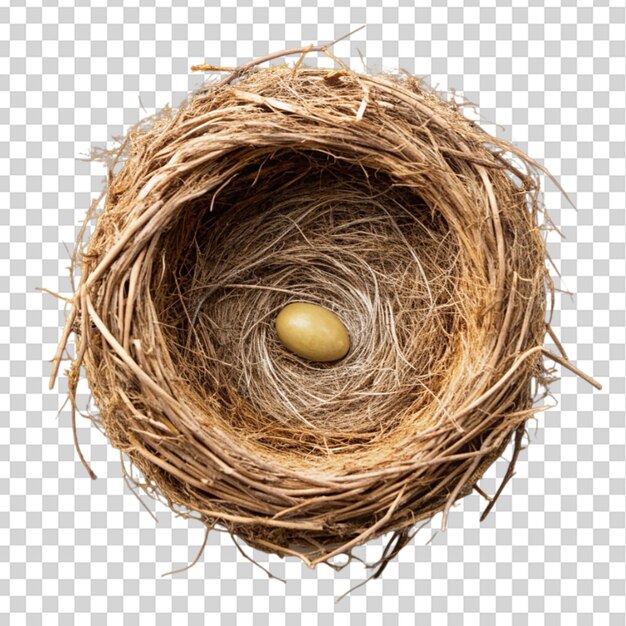 PSD bird s nest top view isolated on transparent background