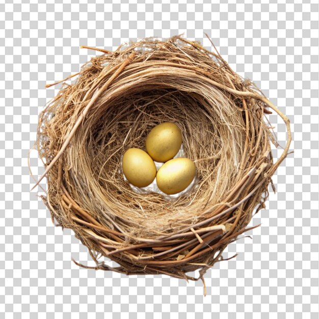 PSD bird s nest top view isolated on transparent background