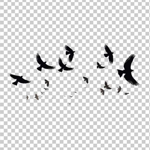 bird silhouette illustration