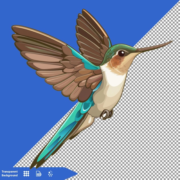 a bird with a blue beak that has a white background with a blue background