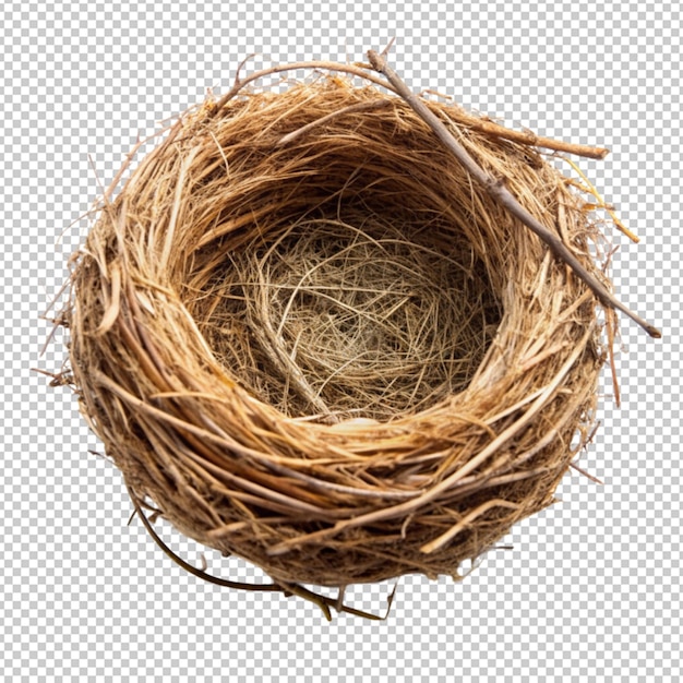 PSD birds nest isolated on transparent background