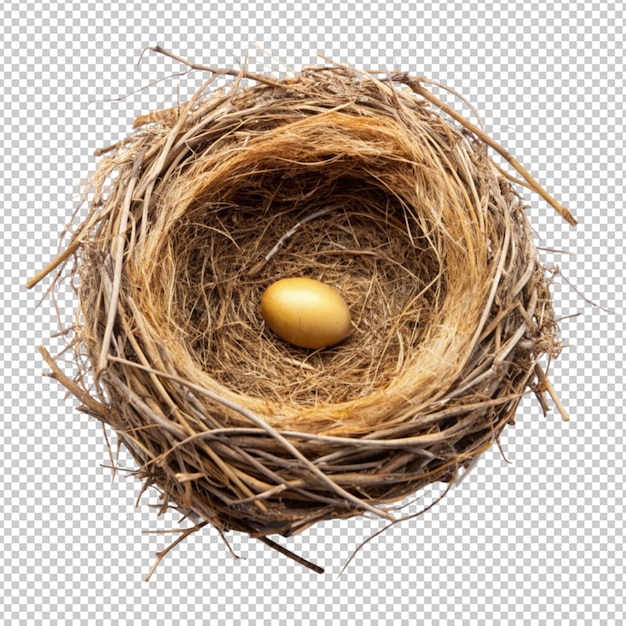 birds nest isolated on transparent background